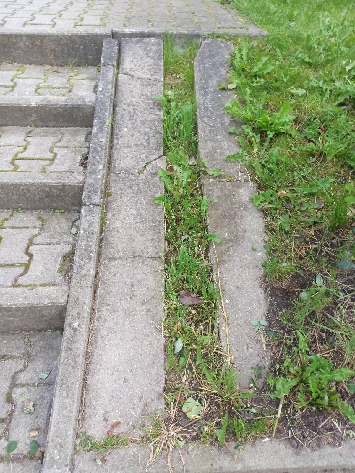 Podjazd przed wykonaniem prac