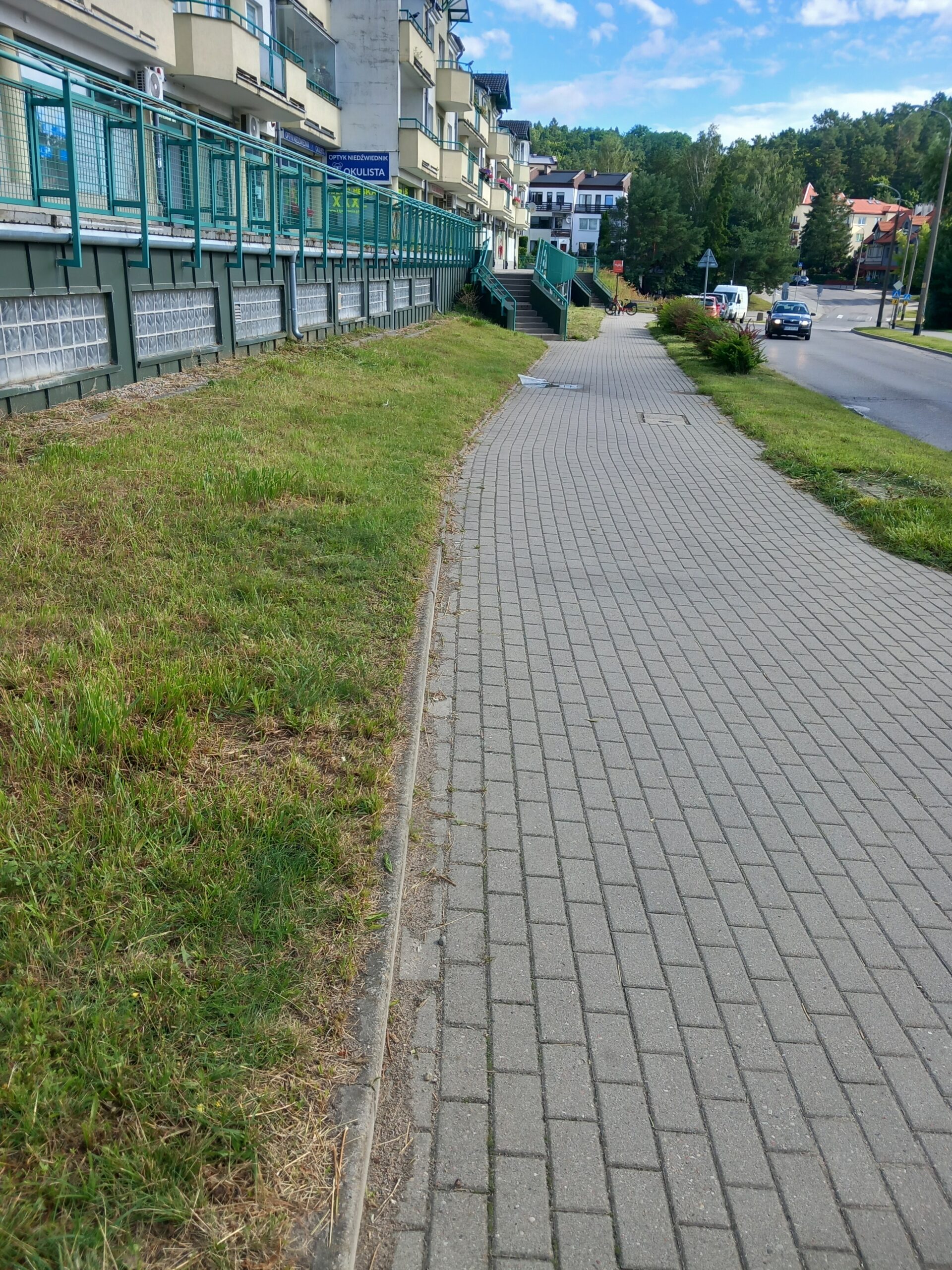 Góralska 13 trawnik